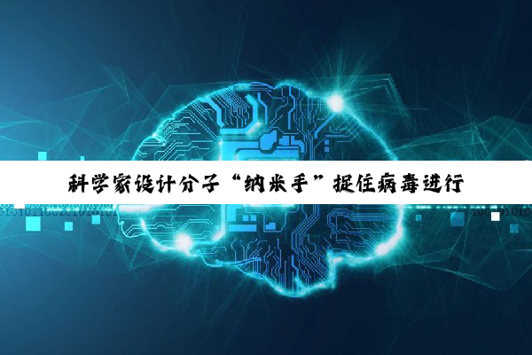 科学家设计分子“纳米手”捉住病毒进行检测，或助力精准医疗
