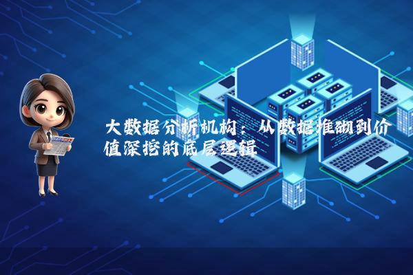 大数据分析机构：从数据堆砌到价值深挖的底层逻辑